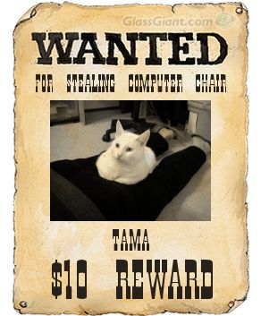 Wanted Tama