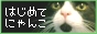 はじめてにゃんこ