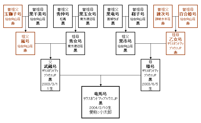 小太郎家系図