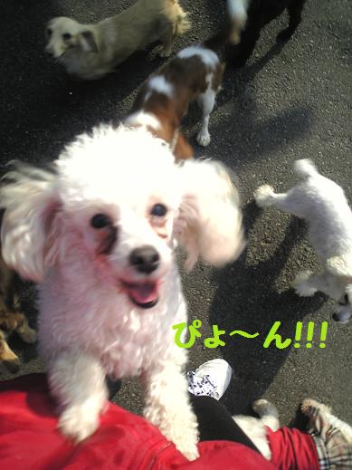 ３月２３日 007.jpg