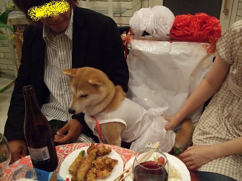 sapuraizu17.jpg