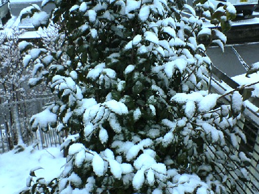 DSC02132.JPG