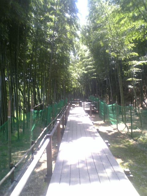 DVC00064.JPG