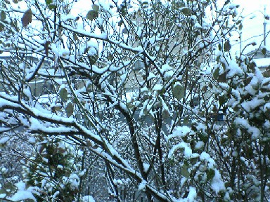 DSC02133.JPG