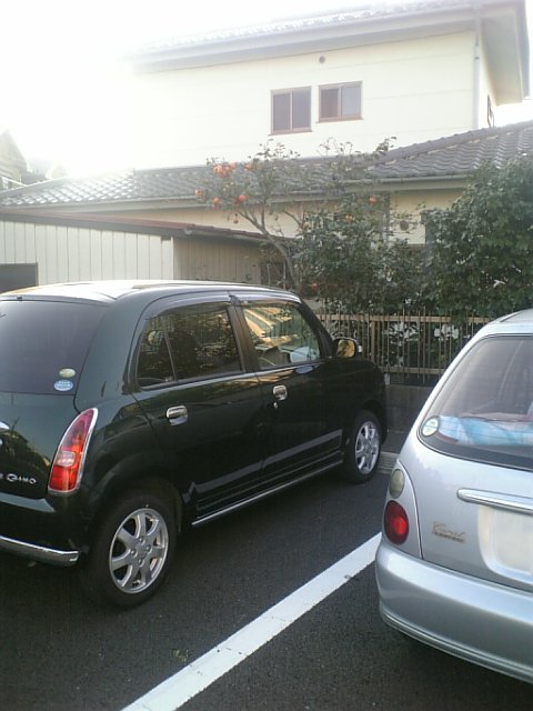 DVC00003.JPG