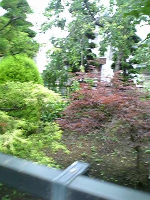 DVC00010.JPG