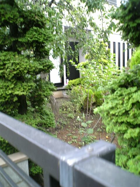 DVC00011.JPG