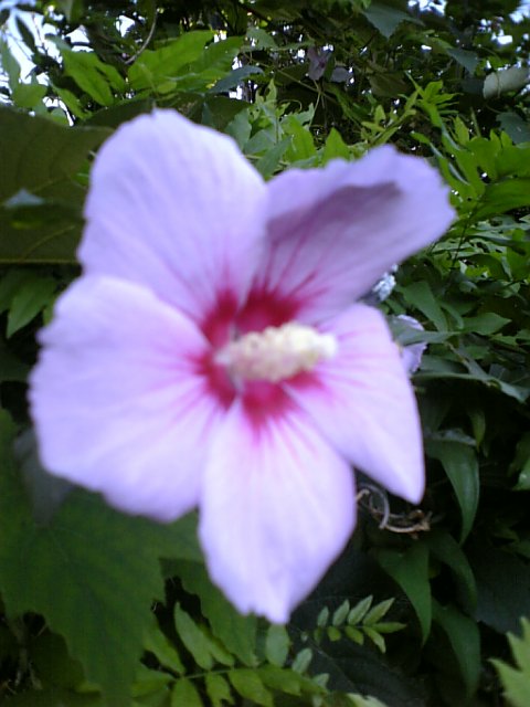 DVC00011.JPG