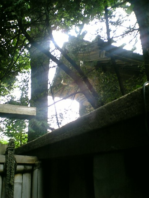 DVC00029.JPG