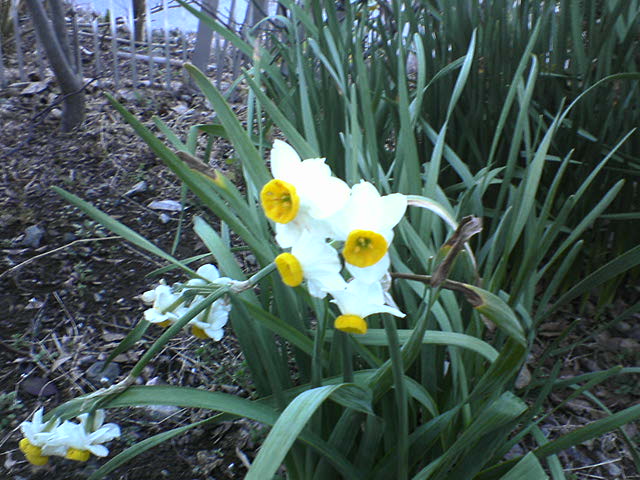 DSC02262.JPG
