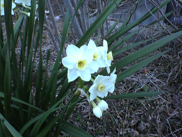 DSC02263.JPG