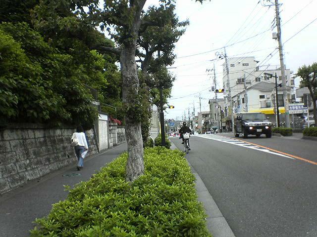 DSC02847.JPG