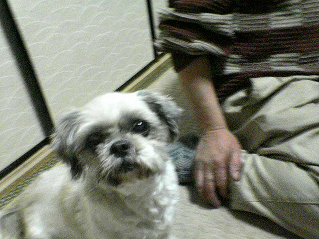 DSC02205.JPG