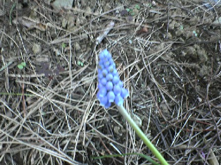 DSC02448.JPG