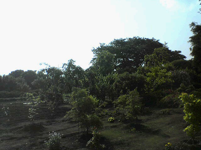 DSC02668.JPG