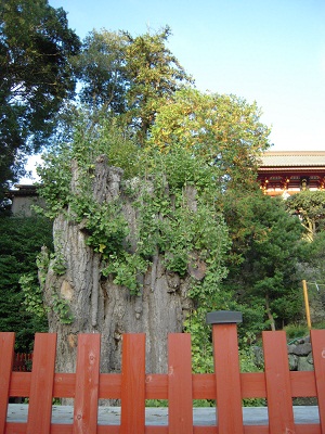 Hachimanguicho-1.jpg