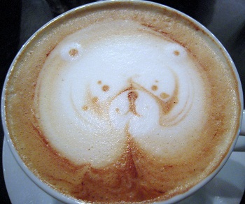 kumacappuchino.jpg