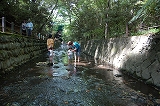 DSC_0425.jpg