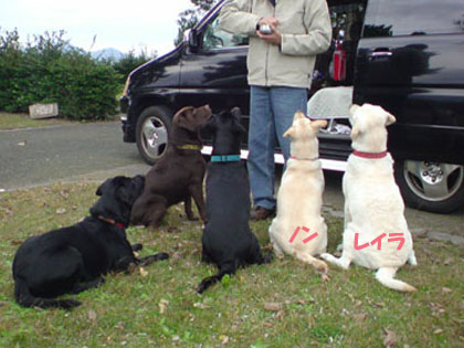 081109ノンのお見合い2