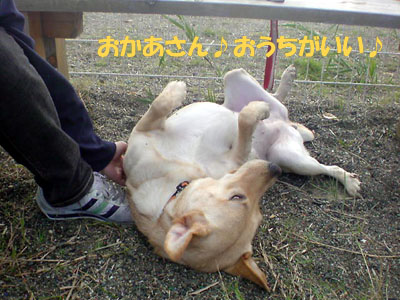 081011ノンアン04