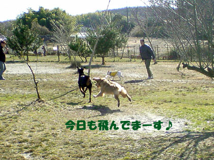 090208DOGWITH02