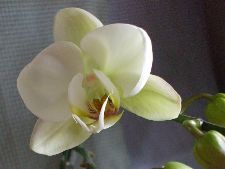080416