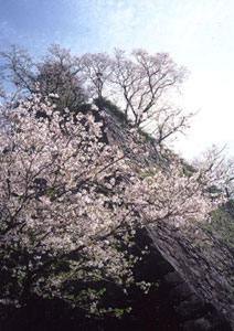 城山公園（延岡市）