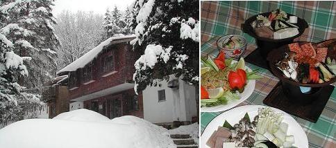 ヤスダペンション