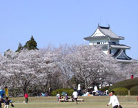 天ヶ城公園（宮崎市高岡町）