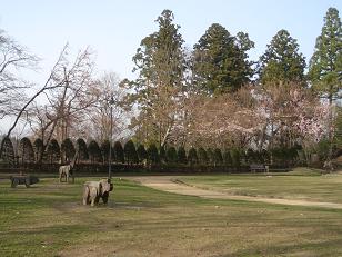 城山公園