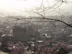 城山からの眺め
