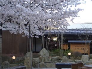 さくらの湯
