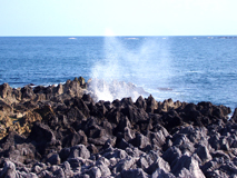 岩井崎潮吹き岩