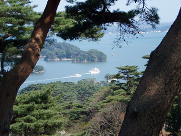 西行戻しの松から松島を望む
