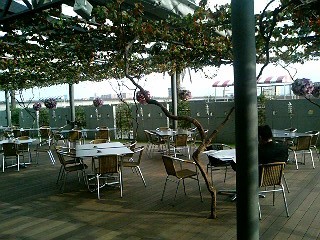 宮観（はな花１）