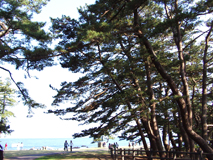 潮吹き岩への道