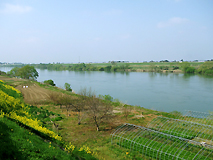 米谷橋からの北上川