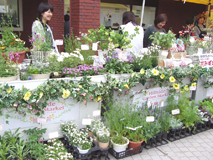 flower shop