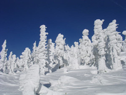 すみかわ樹氷２