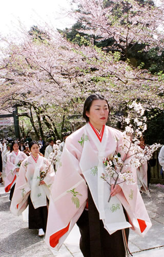 桜花祭