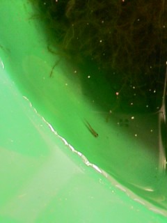 PA0_0020.jpg