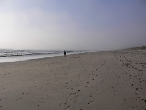 Mt Maunganui shore 2