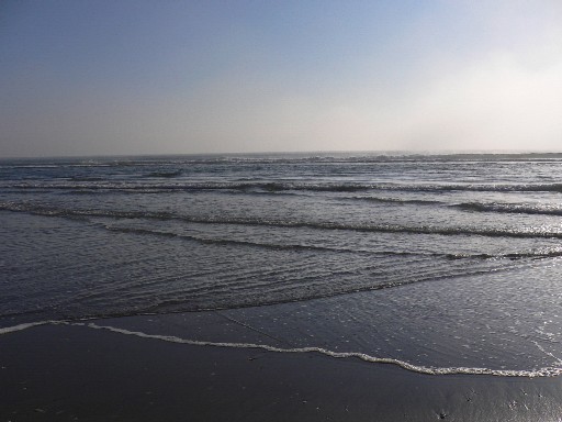 Mt Maunganui shore3