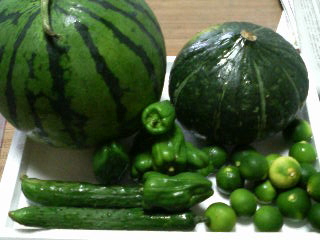 携帯カメラ 001_1_1.jpg