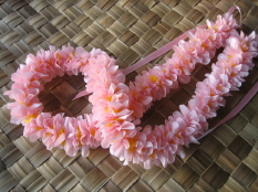 Pink Butterfly Ginger Lei