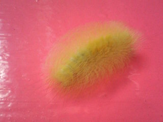 携帯カメラ 056.jpg