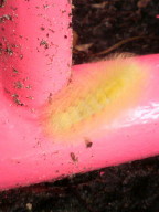 携帯カメラ 058_2_1.jpg