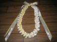 Plumeria Lei