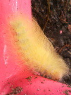 携帯カメラ 057_1_1.jpg