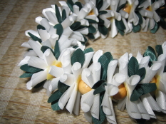 Naupaka with Ginger Lei